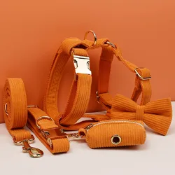 Set collar y correa de pana naranja para perro con placa grabada
