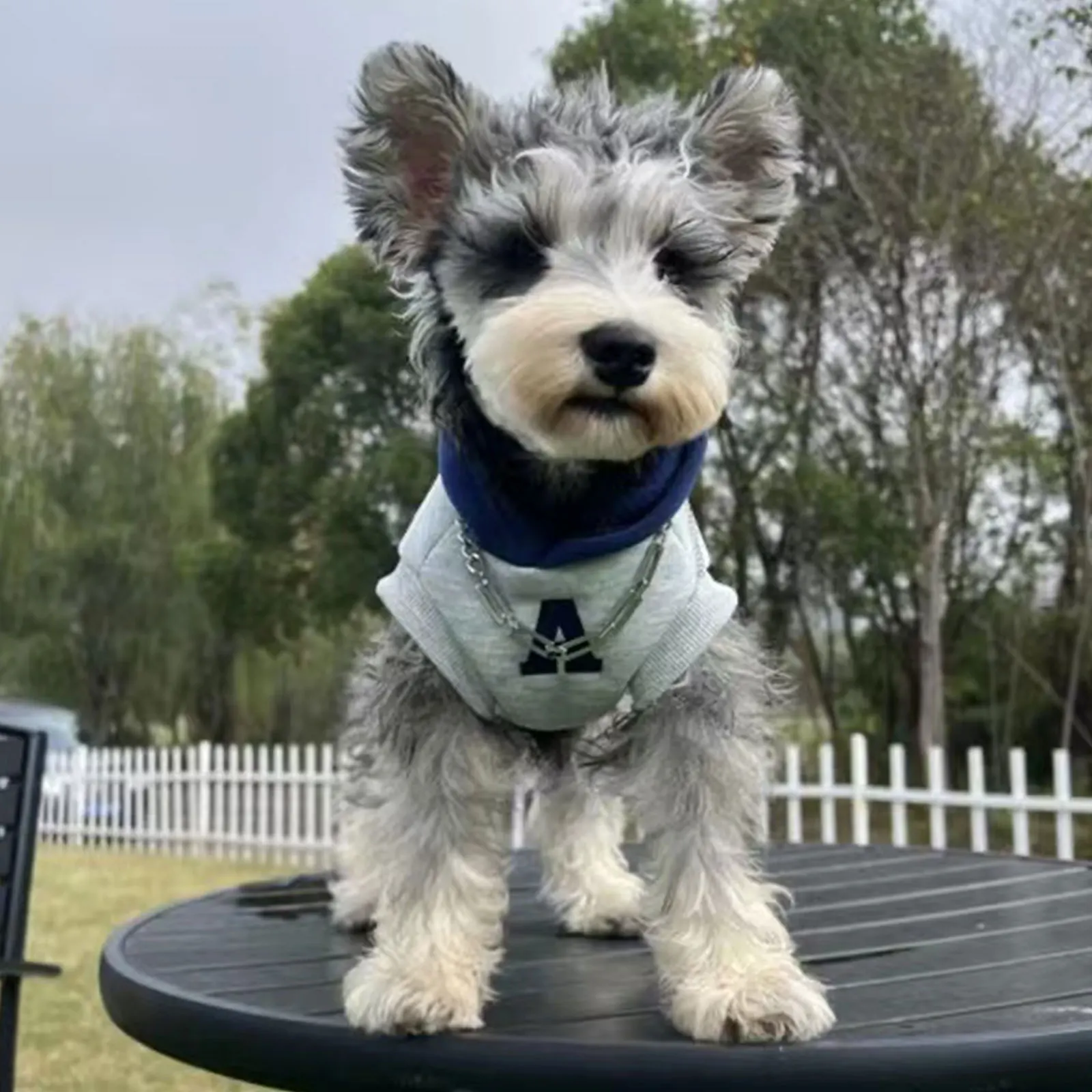 Sudadera con capucha para perro, ropa cálida de invierno, sudadera suave para perros pequeños y medianos, abrigo para perros de clima frío, ropa para perros Bulldog francés Chihuahua - imagen 4