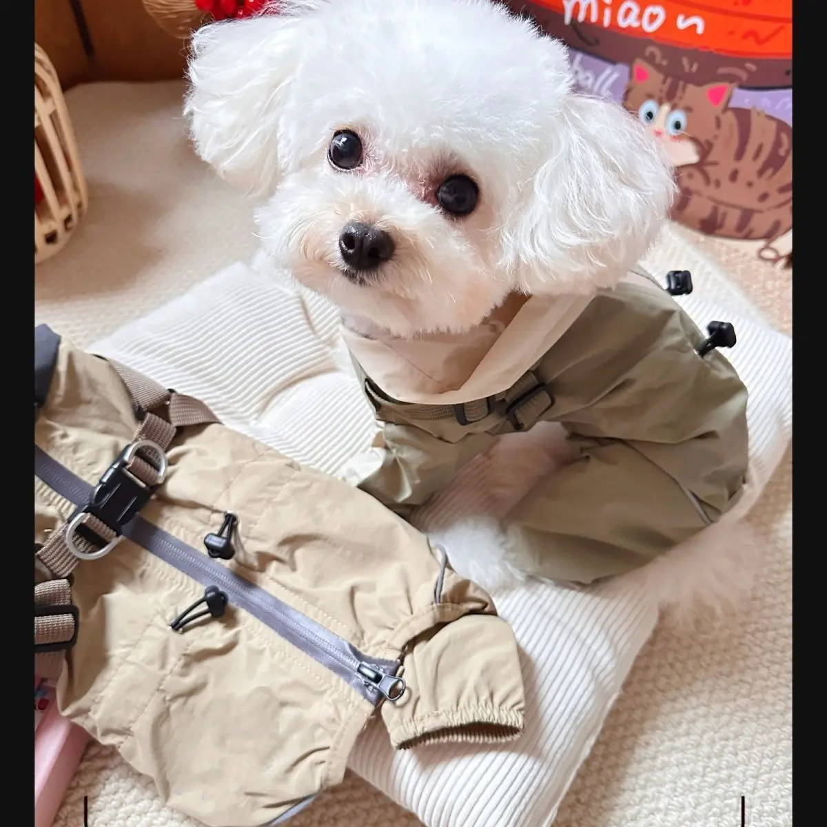 Mono de otoño e invierno para mascotas, bolsa a prueba de viento, pantalones pequeños de cuatro patas para el vientre, chaqueta para exteriores para mascotas, ropa para cachorros pequeños - imagen 3