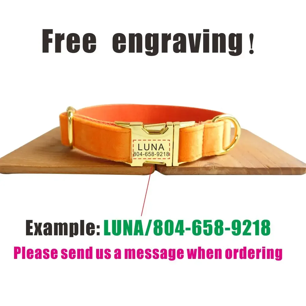 Collar de perro personalizado con grabado gratuito, correa para mascotas a juego, hebilla de Metal de contactos personalizados, Collar de terciopelo naranja grueso - imagen 4