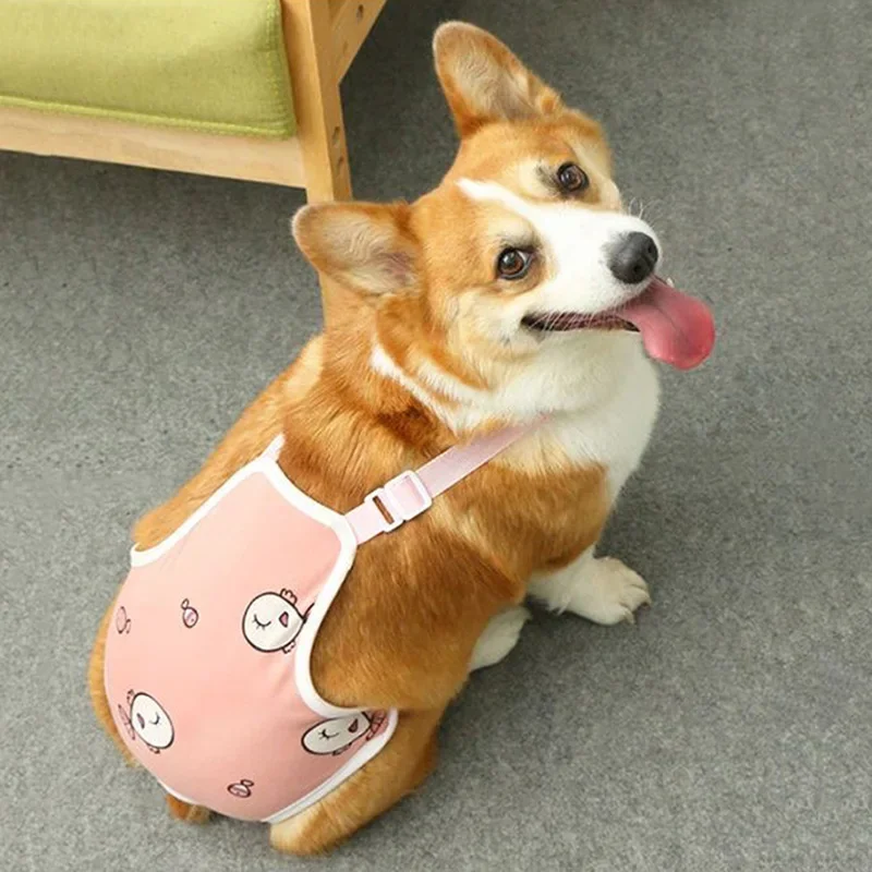 Pantalones fisiológicos con correa para el hombro para mascotas, ropa interior lavable para perros, pantalones cortos de seguridad para mascotas, Bulldog francés ajustable - imagen 5