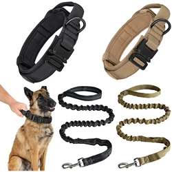 Collar y correa para perros resistentes y ajustables para paseos