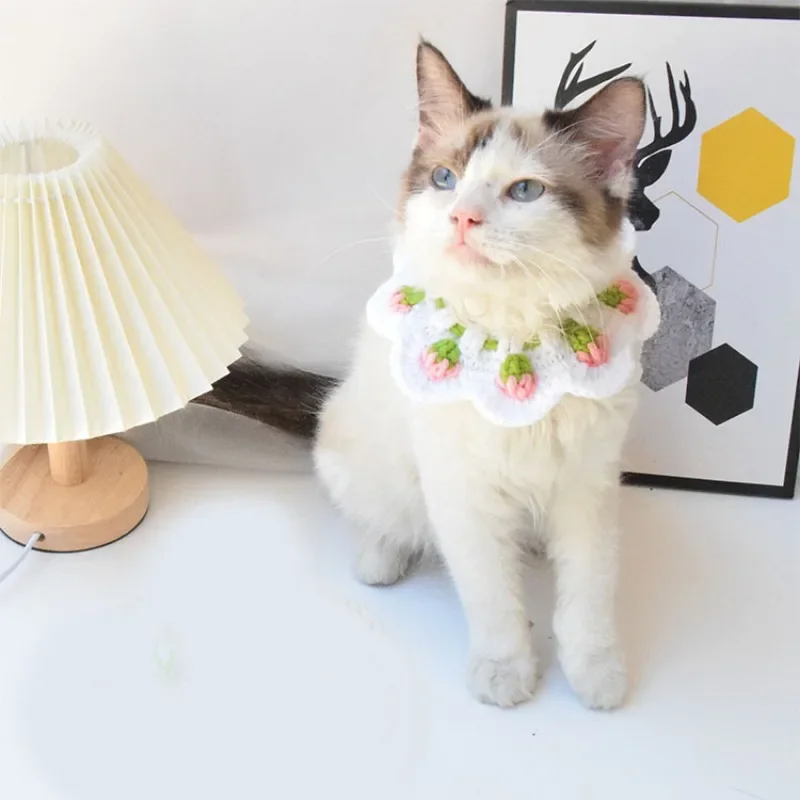 Babero con patrón de fresa para mascotas, bufanda tejida a mano de lana, accesorios de decoración para gatos, artículos para mascotas, Otoño e Invierno - imagen 5
