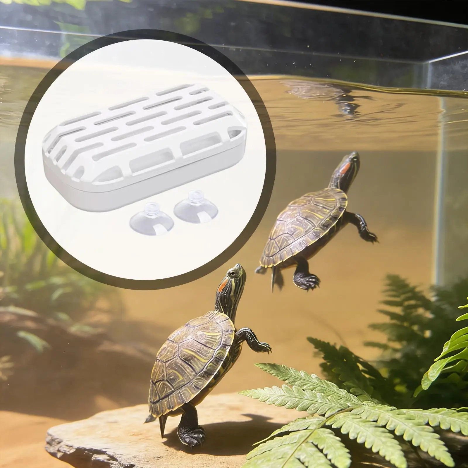 Turtle Habitat Accessories Waste Collection Box for Terrarium Dry Turtles Cage Maintenance and Aquarium