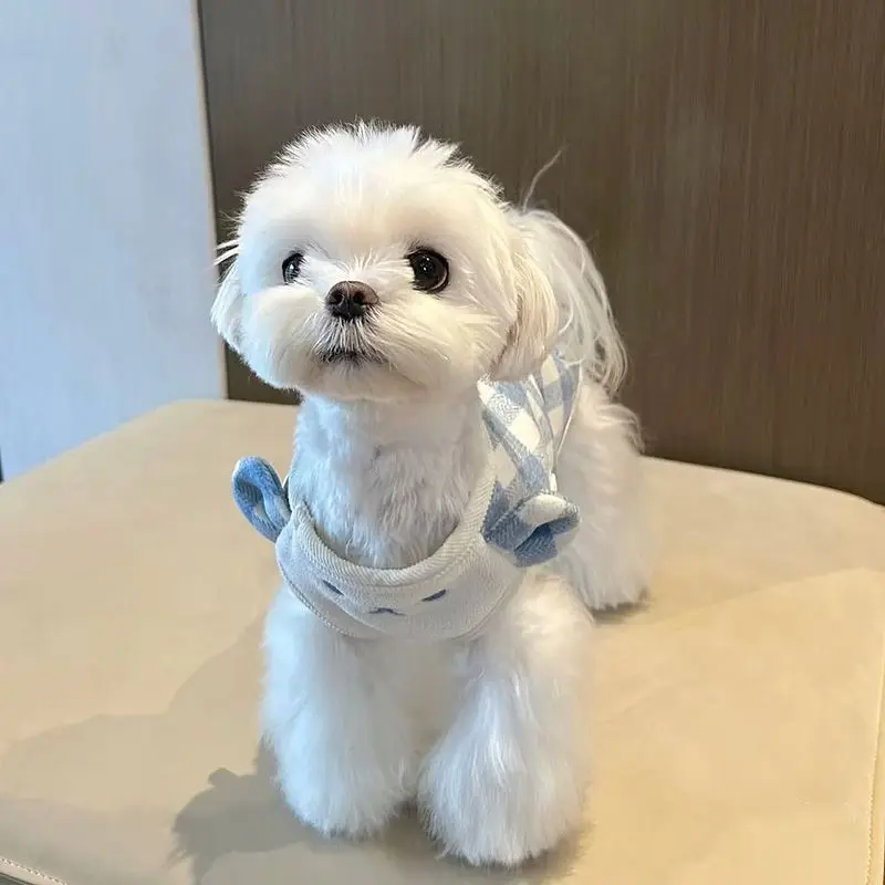 Camiseta sin mangas a cuadros para otoño/invierno para mascotas, ropa bonita para el hogar, abrigo bordado bonito de terciopelo fino, ropa para cachorros pequeños - imagen 4