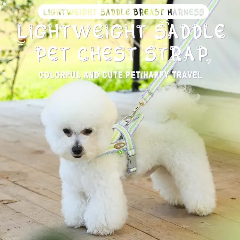 Correa para cachorros, correa para caminar para perros, arnés ligero para mascotas, correa para el pecho, conjunto de correa y correa para el pecho para perros pequeños, novedad de 2024 - imagen 2