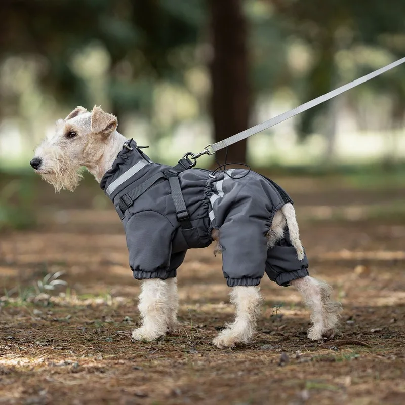 Ropa de cuatro patas para perros, chaqueta acolchada con pecho en la espalda, abrigo grueso y cálido a prueba de viento para cachorros, productos para mascotas, abrigos, suministros, Otoño e Invierno - imagen 4