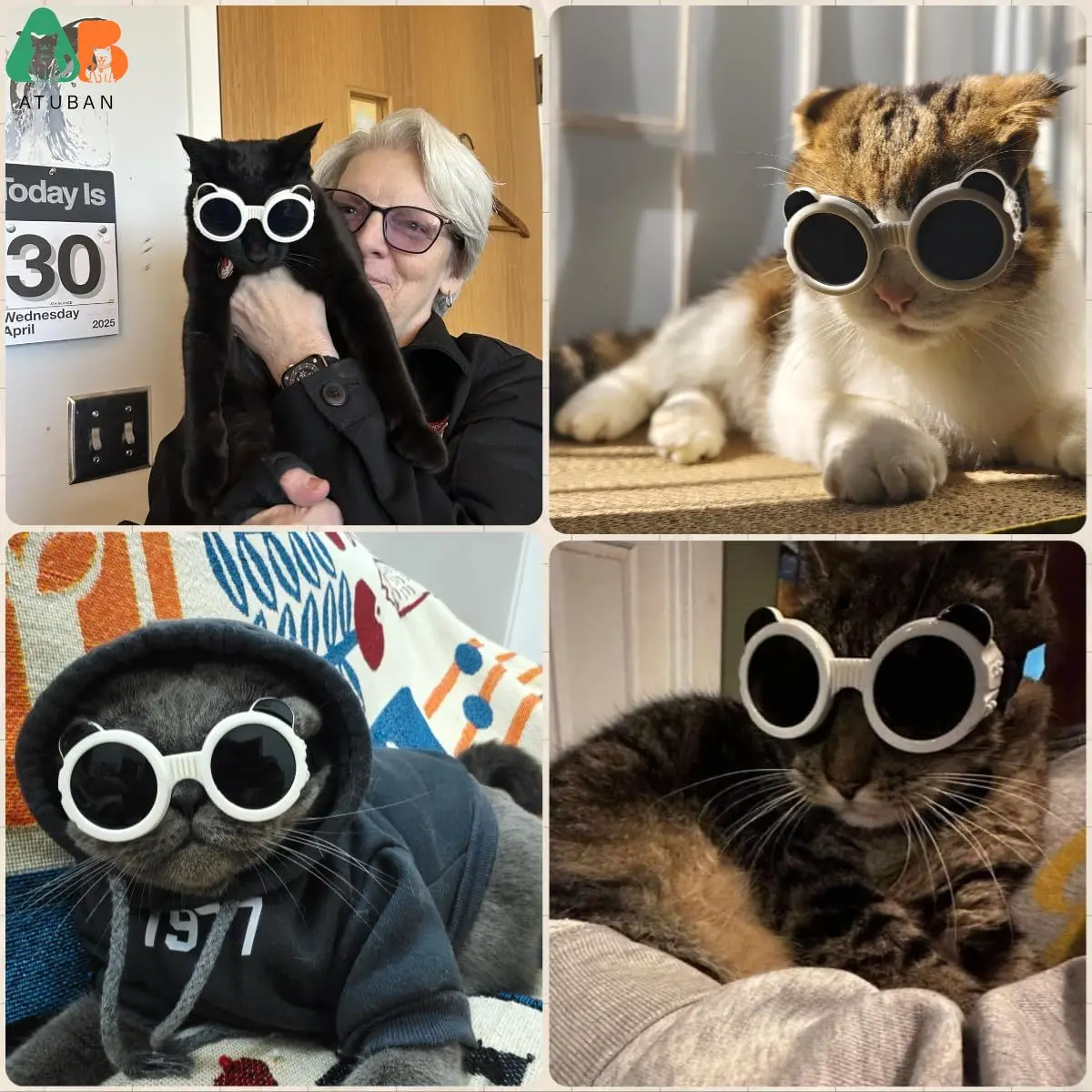 ATUBAN Gafas para perros para raza pequeña Protección UV/viento/polvo Gafas de sol para cachorros ajustables, a prueba de viento, a prueba de polvo, antivaho, transpirables - imagen 3