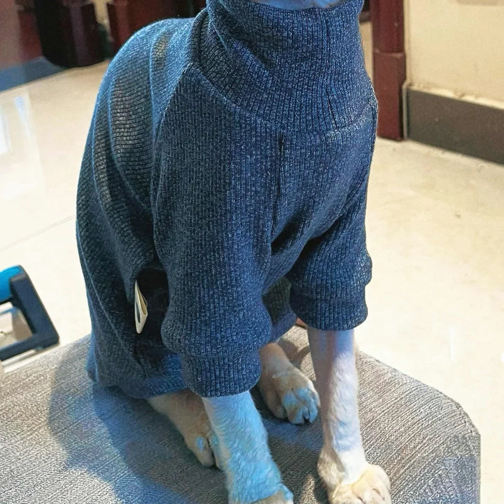 Suéter aislado de cuello alto de punto elástico para gato Sphynx en invierno abrigo gris oscuro suave y cálido para gato sin pelo Devon Rex en otoño - imagen 5