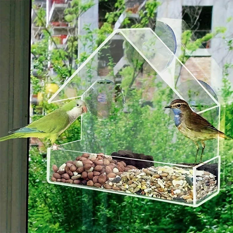 Comedero para pájaros en puerta de vidrio