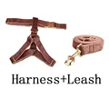 harness leash