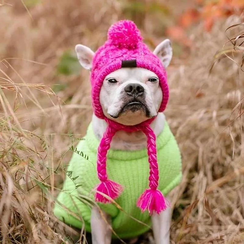 Gorro suave de invierno para perro, gorro cálido de punto con orificios para las orejas, a prueba de viento, para Bulldog Francés, para cachorro, pequeño y mediano - imagen 5