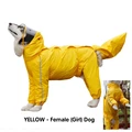 yellow for girl dog
