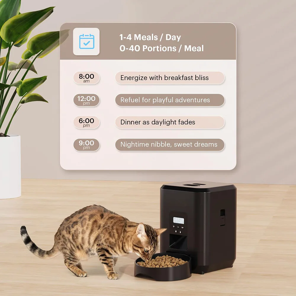 Alimentador de sincronización para mascotas de 2L, dispensador automático para gatos, máquina de comida lenta para perros con dispensador de comida cuantitativa temporizada, tazón para perros y gatos