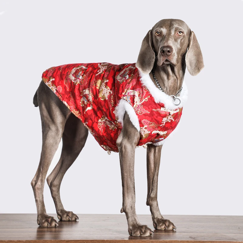 Traje chino de lujo hecho a mano, ropa roja para perros grandes, ropa para perros medianos y grandes, chaleco para perros, disfraz de Labrador Golden Retriever - imagen 3