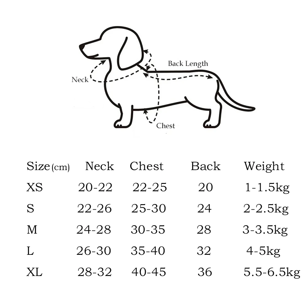 Conjunto ABQP para perros pequeños y Dachshund en vista general