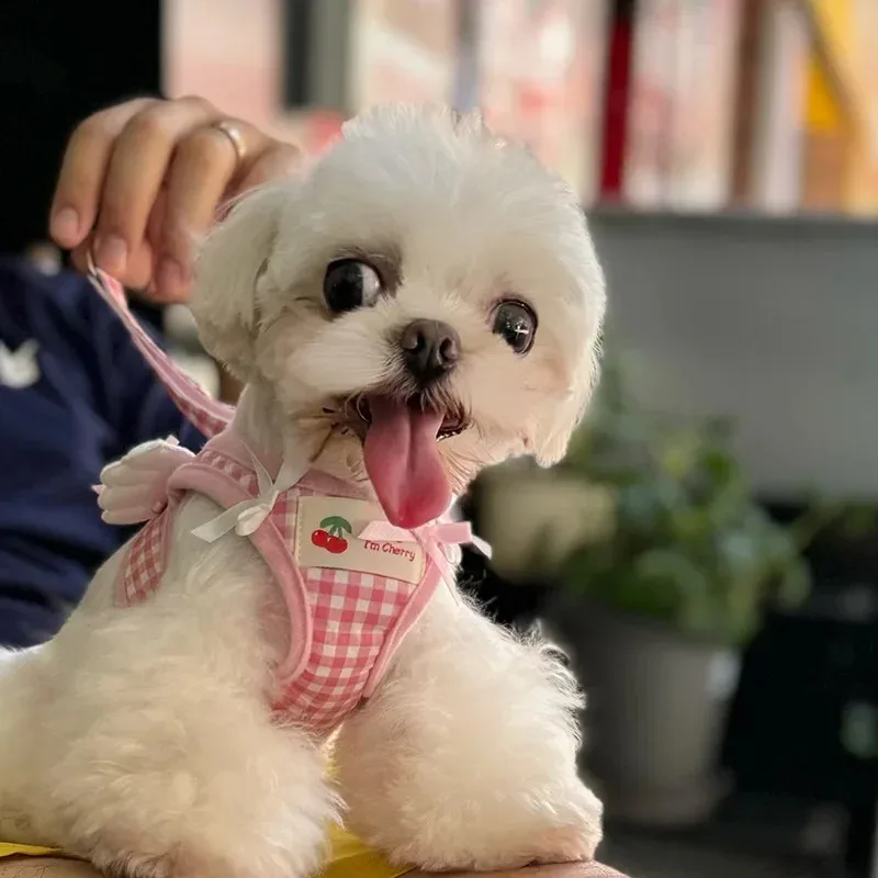 Arnés con correa para el pecho para perros, Collar para mascotas, conjunto de correas, accesorios para mascotas, collares para perros, chalecos de cuero para cachorros, accesorios - imagen 3