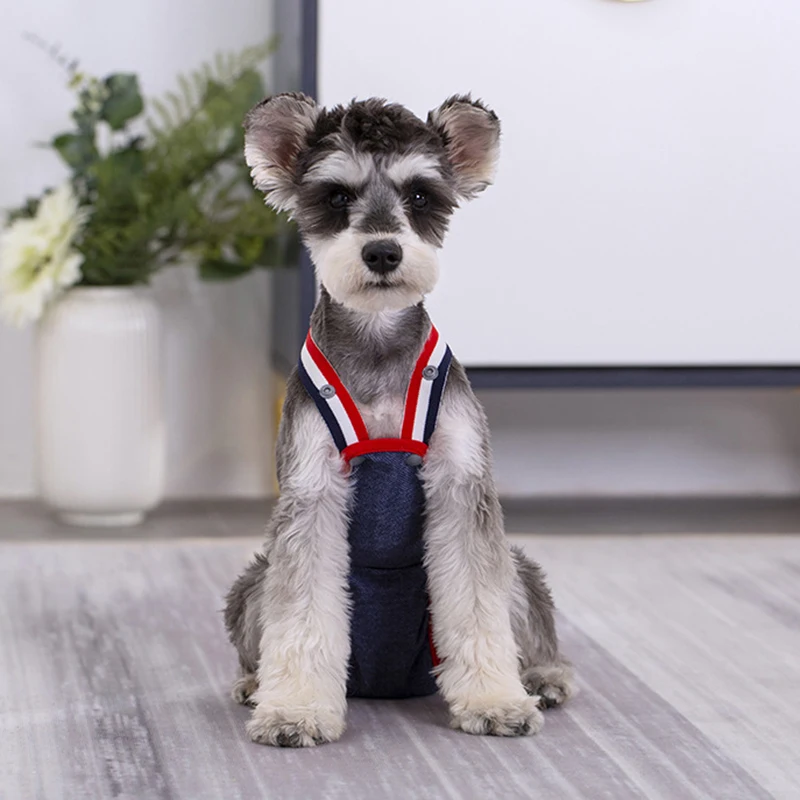 Pantalones fisiológicos vaqueros de Bulldog Francés para mascotas, bragas sanitarias de seguridad para perros pequeños y medianos, pantalones cortos para gatos y mascotas - imagen 5