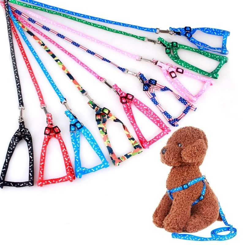 Correa barata para perros pequeños, correas para cachorros, correa y arnés para mascotas de peluche, conjunto de cuerda de plomo bonita, correa para gatos y gatitos, decoración de cosas para mascotas