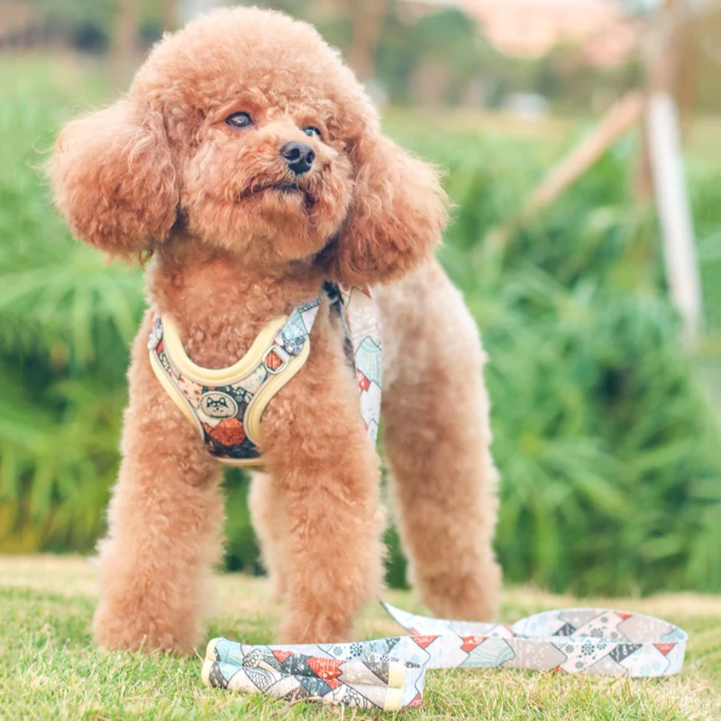 Arnés y correa ajustables para perros pequeños y medianos, conjunto de arnés fuerte para mascotas, Bulldog Francés, Doberman, suministros para mascotas - imagen 3