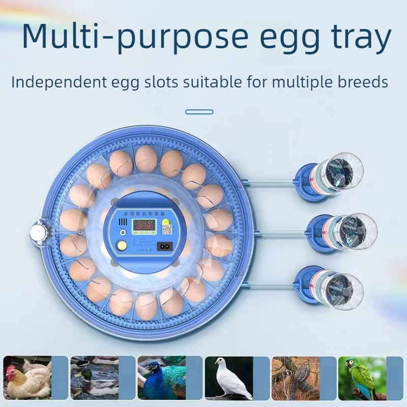 Incubadora automática de huevos con control térmico y LED - imagen 2