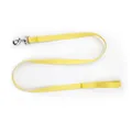 Yellow-Leash