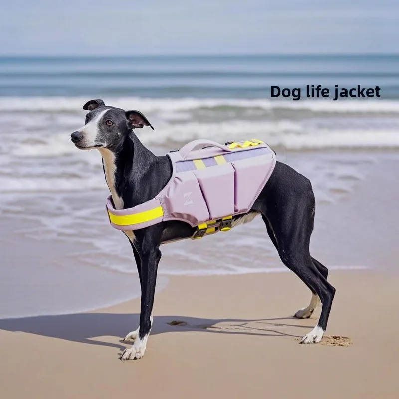 Chaleco salvavidas de verano para mascotas, ropa de alta flotabilidad, traje de baño para mascotas al aire libre, chaleco de seguridad para surf, accesorio antivaho para perros junto al mar - imagen 5