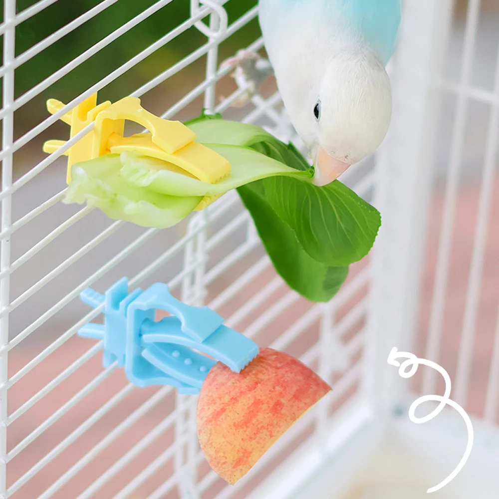 Juego de 2/4 Uds. De soportes de comida para pájaros y mascotas, Clip para loros, frutas y verduras, dispositivo alimentador de huesos para sepia, accesorios para jaulas de pájaros y loros - imagen 3