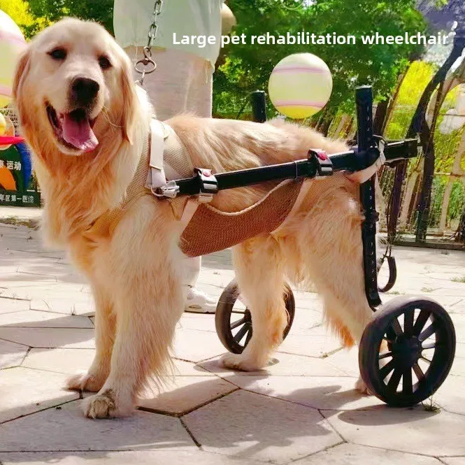 Silla de ruedas para perros medianos y grandes - Carrito de movilidad - imagen 2