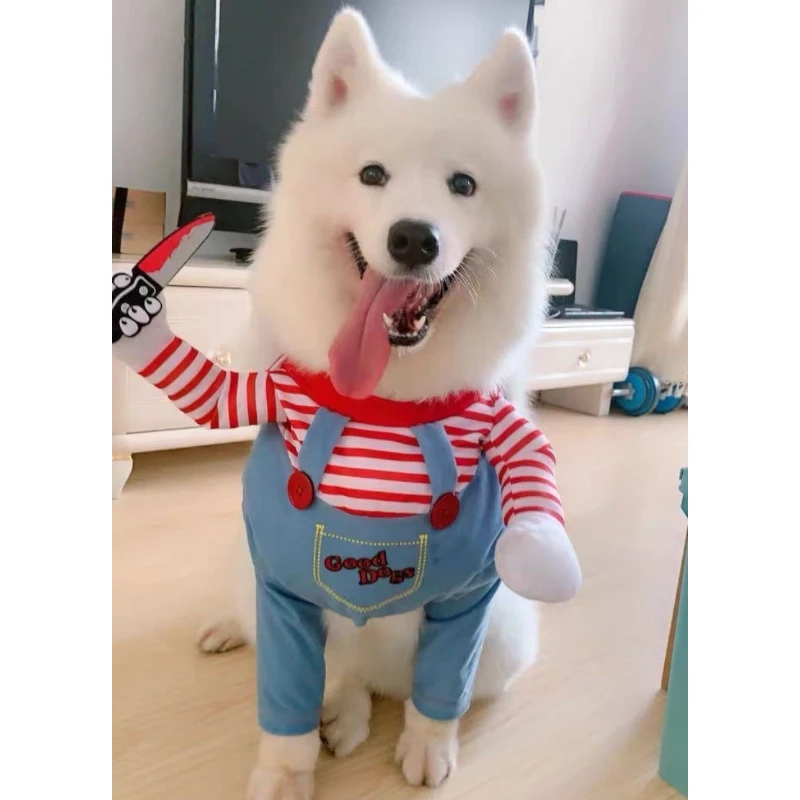 Disfraz de mensajería para mascotas: divertido disfraz de perro y gato con sombrero, ropa de cosplay de juego de rol de estilo independiente para fiestas de Halloween