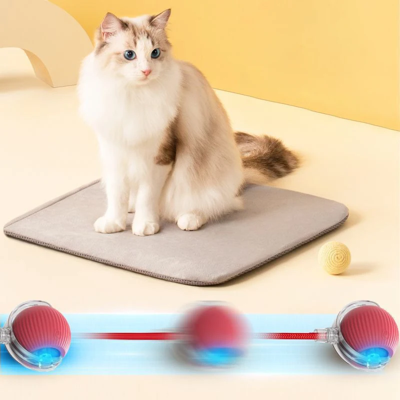 Pelota de juguete interactiva eléctrica para gatos, Bola rodante automática para burlas, imitación de cola de ratón, juguetes de entrenamiento recargables para perros y gatos - imagen 3