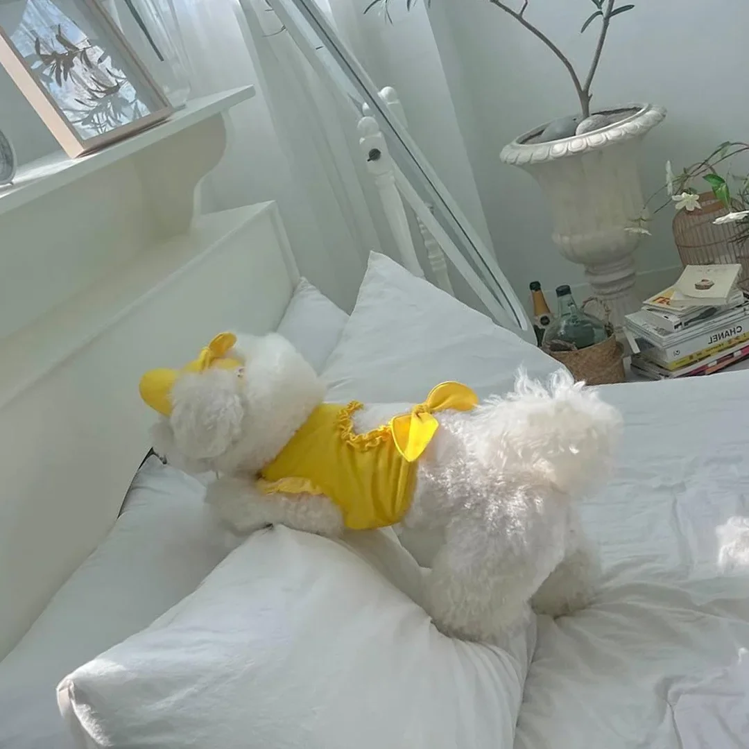 Moda para mascotas, camiseta sin mangas hueca de amor de verano, sombrero parasol, conjunto de ropa para gatos/perros de tamaño pequeño y mediano, camiseta sin mangas, sombrero, ropa para cachorros - imagen 5