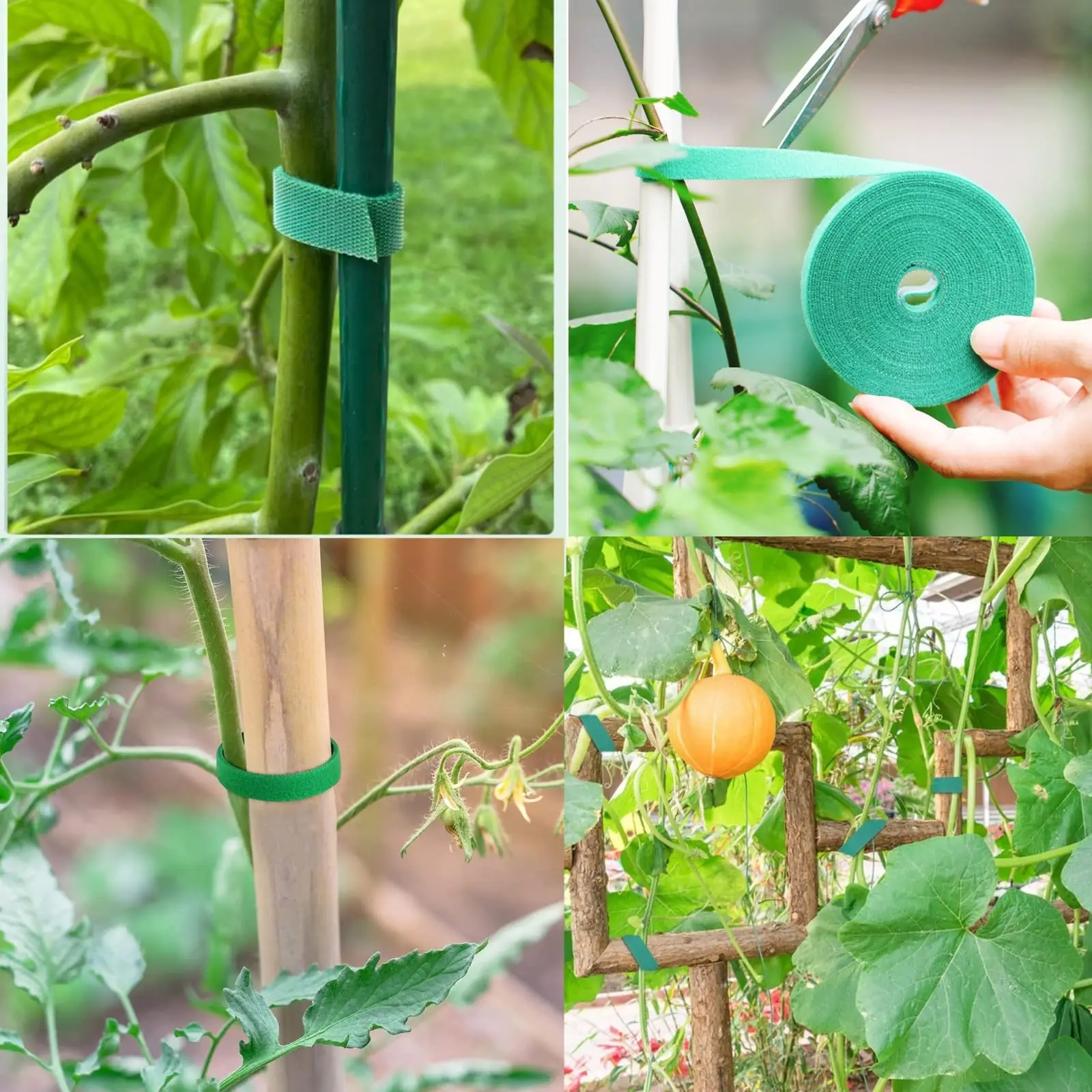 Lazos reutilizables para plantas trepadoras, cinta envolvente de nailon para bastón de bambú, puntas de jardinería, soporte para plantas de tomate, sujetador verde para jardín - imagen 3