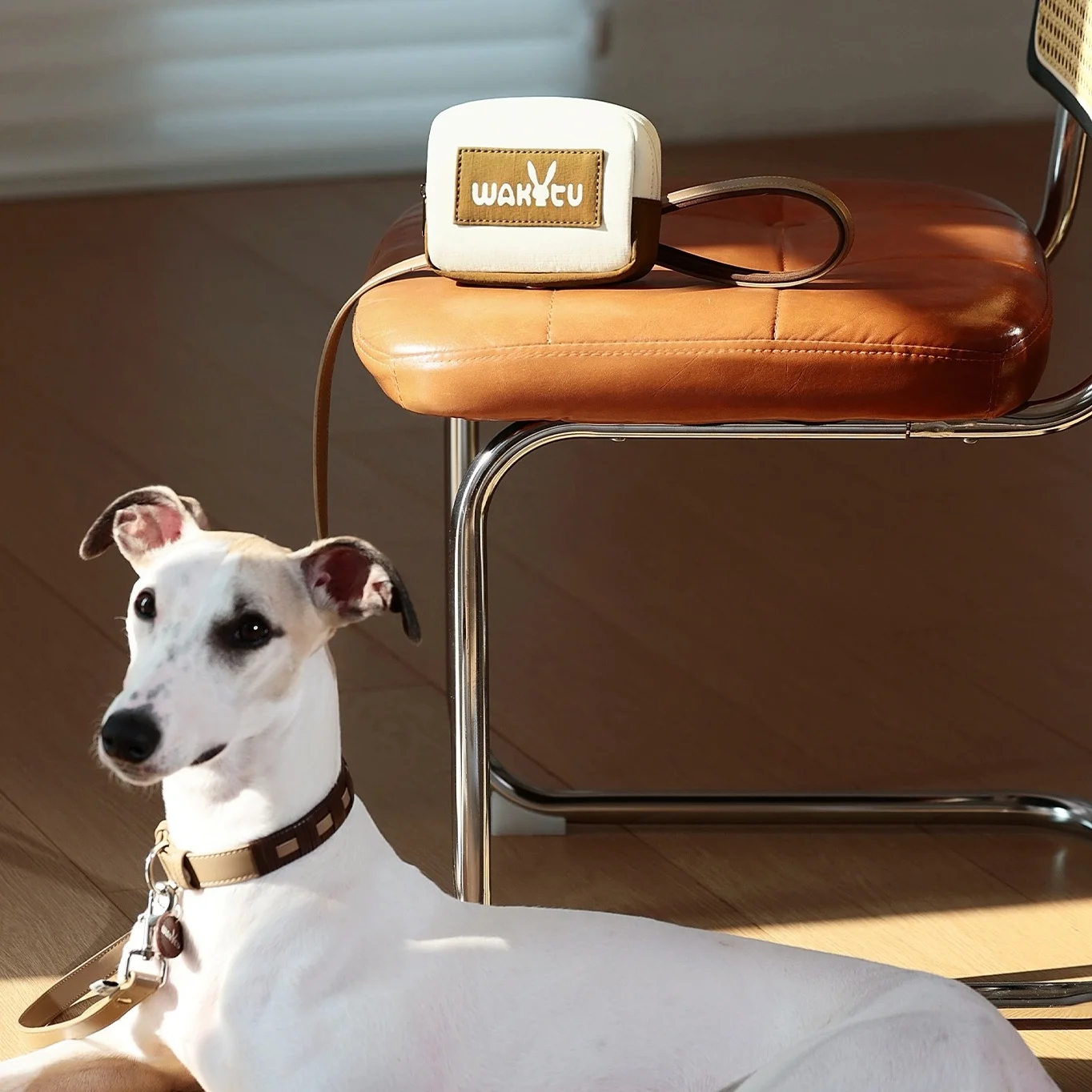 Soporte para bolsa de caca de perro, dispensador de bolsa de basura para perro con correa, orinal portátil pequeño para cachorro, llavero, bolsa para caca, bolsa con cremallera - imagen 4