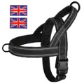 Black-UK