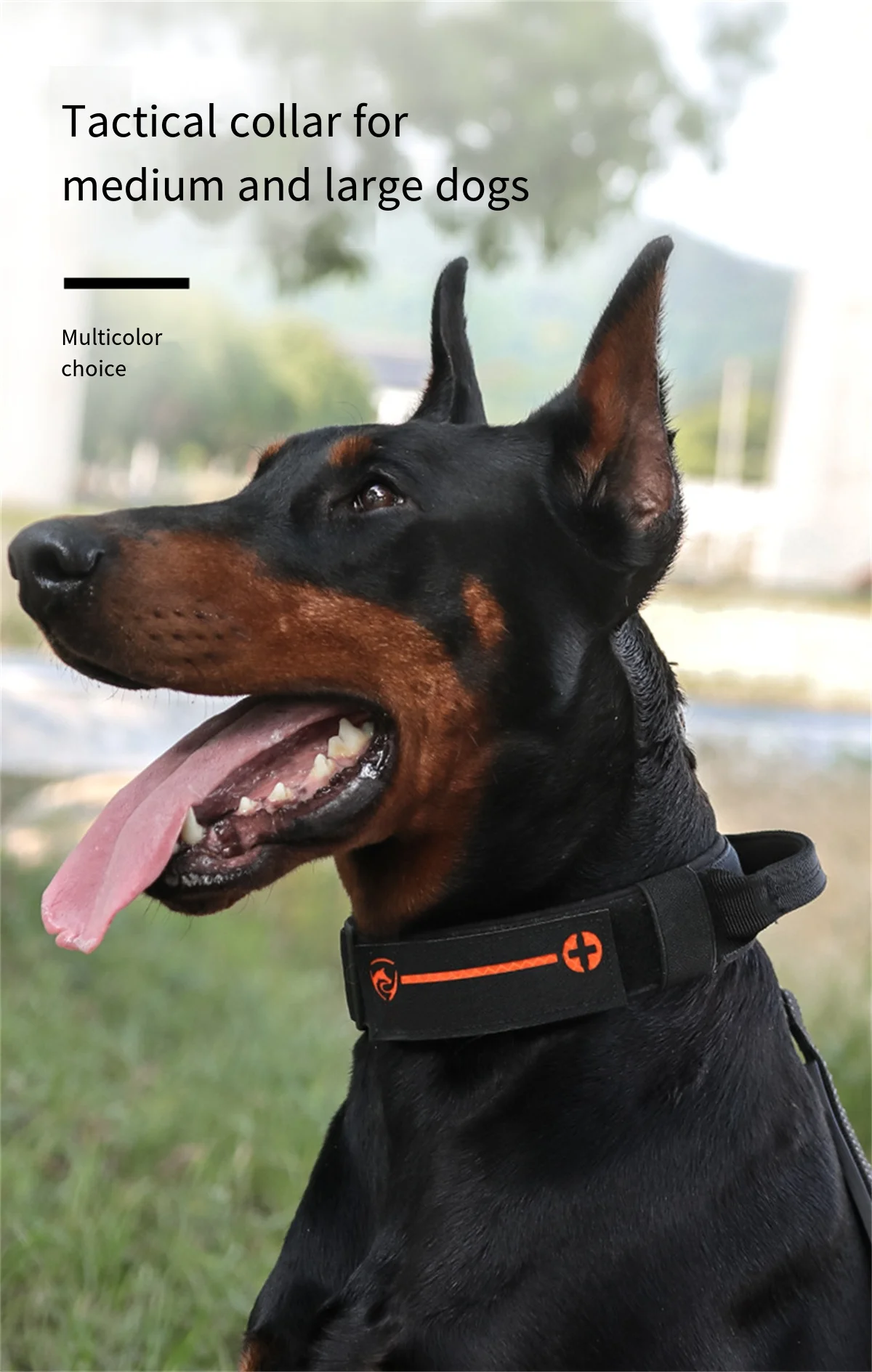 Collar grande militar