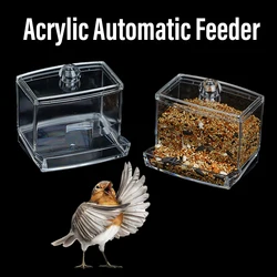 Comedero automático para pájaros – Acrílico transparente