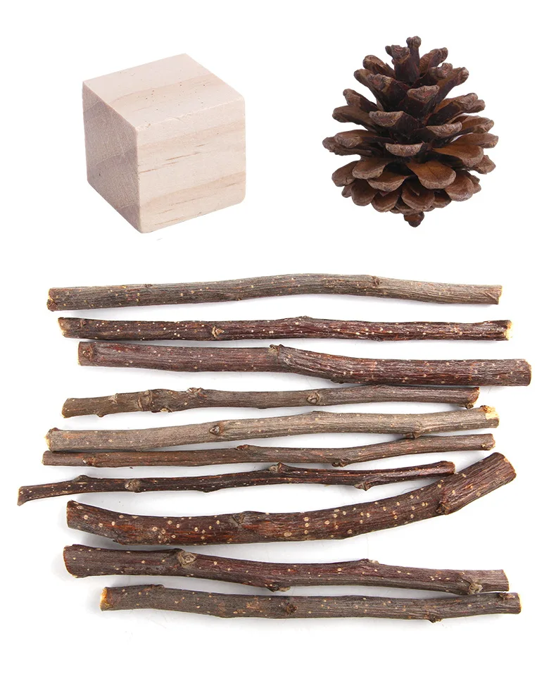 Conjunto de juguetes para hámster, cerdo holandés, conejo, rechinar dientes, morder, aliviar el estrés, suministros para mascotas pequeñas - imagen 4