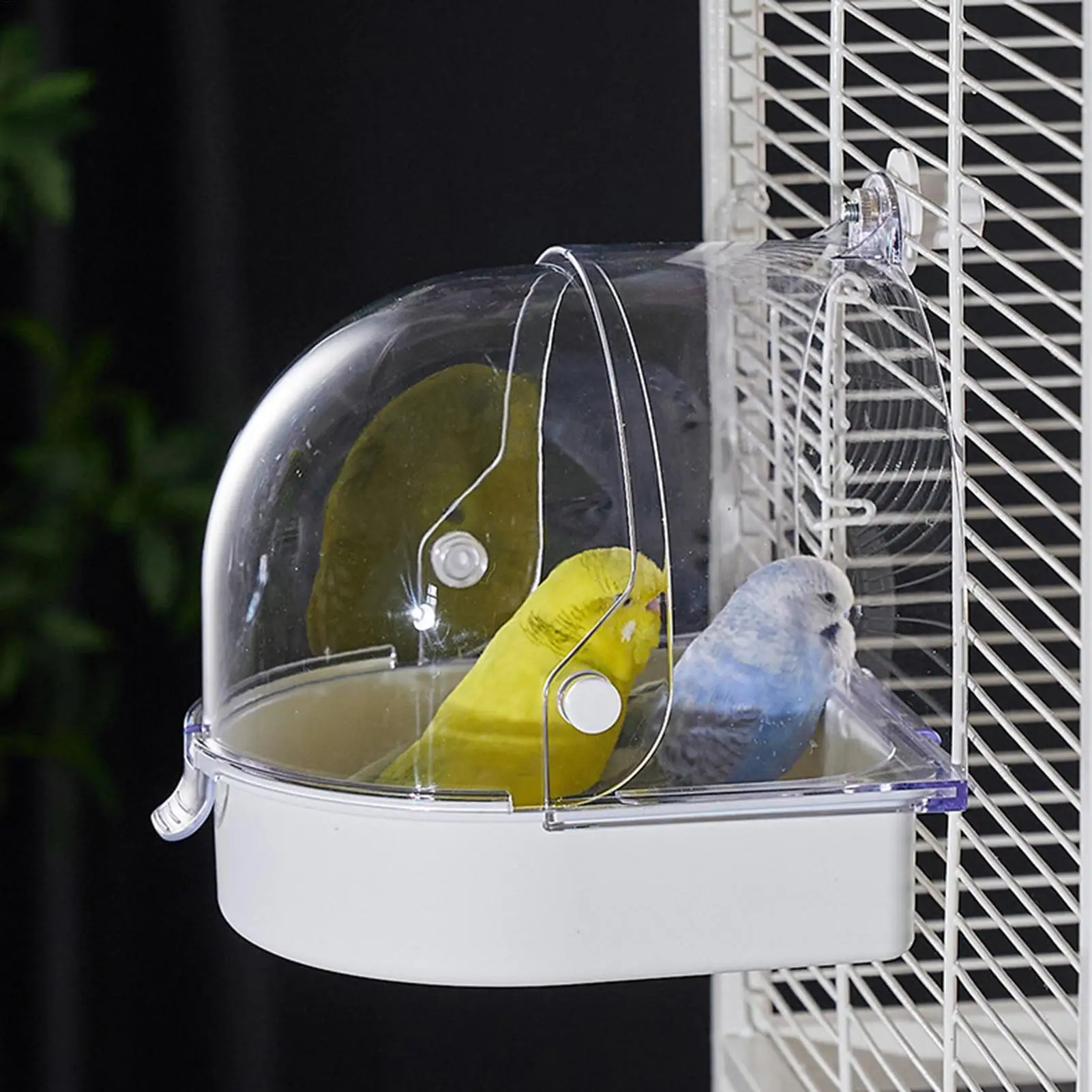 Jaula para baño de pájaros, alimentador, nido, caja de ducha, protector contra salpicaduras, baño de pájaros para periquitos, ventana interior, cacatúa, Conure, colibrí canario - imagen 3