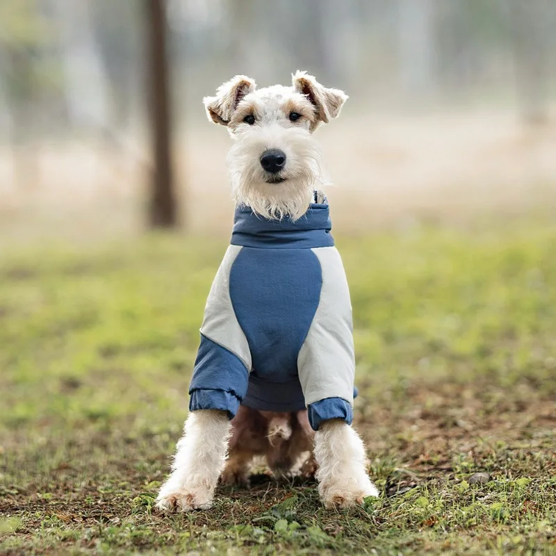 Winter Protection Dog Two-legged Cotton Clothes Warm Autumn Dog Clothes Windproof Cold Proof Pet Small Dogs Clothing Adjustable - imagen 4
