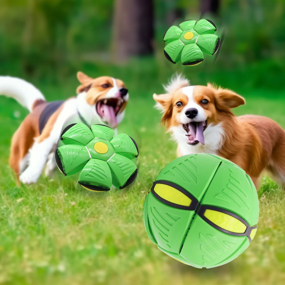 Bola transformadora de disco volador para perros: juguete de búsqueda resistente a masticar y stompable: diseño interactivo de disco volador para juegos al aire libre