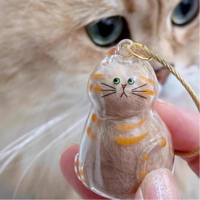 Caja de almacenamiento de pelo de mascota, contenedor de recuerdo de pelo de gato transparente para decoración DIY, caja de regalo conmemorativa, botella conmemorativa de recuerdo - imagen 3