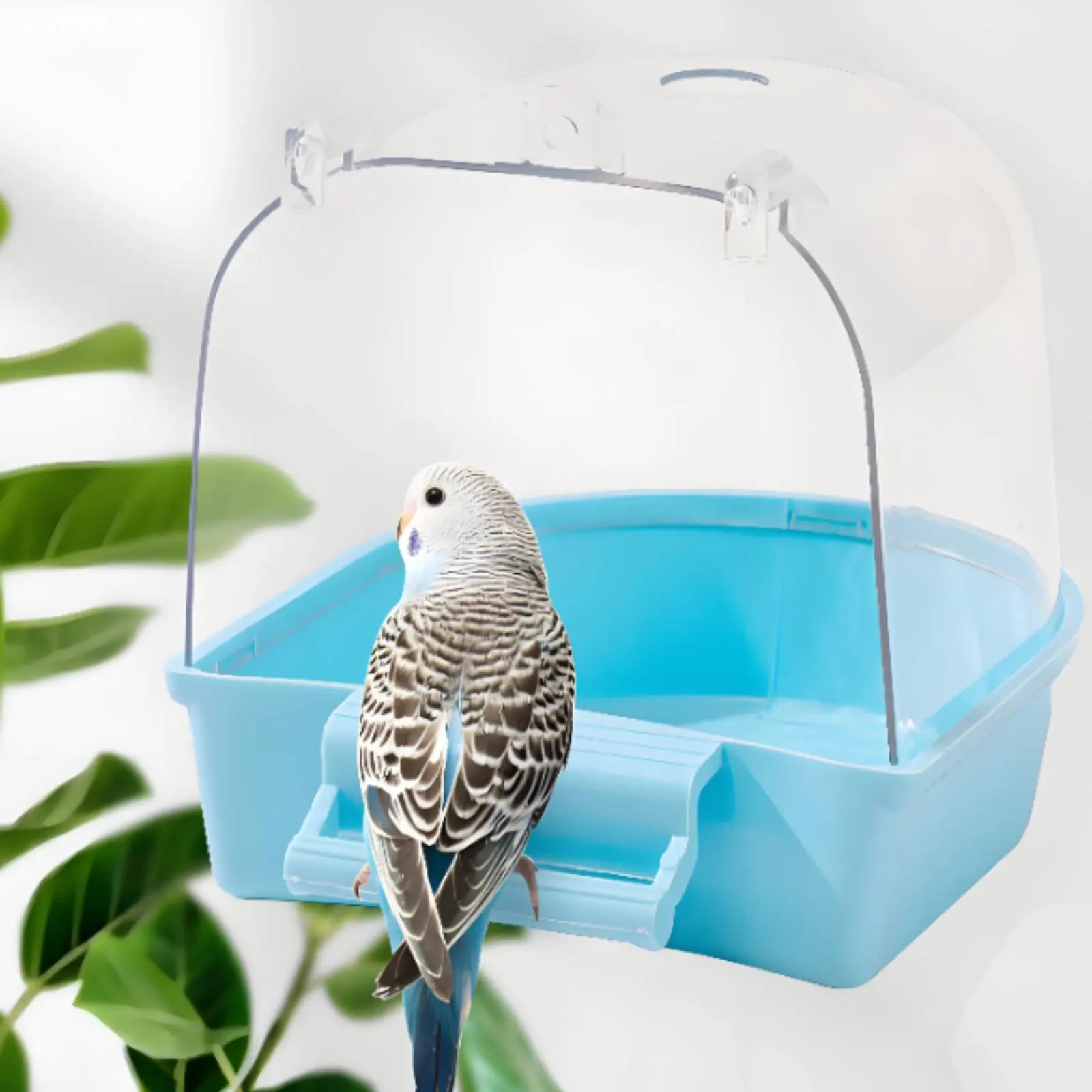 Bañera transparente para aves - baño seguro de periquitos en interior - imagen 4