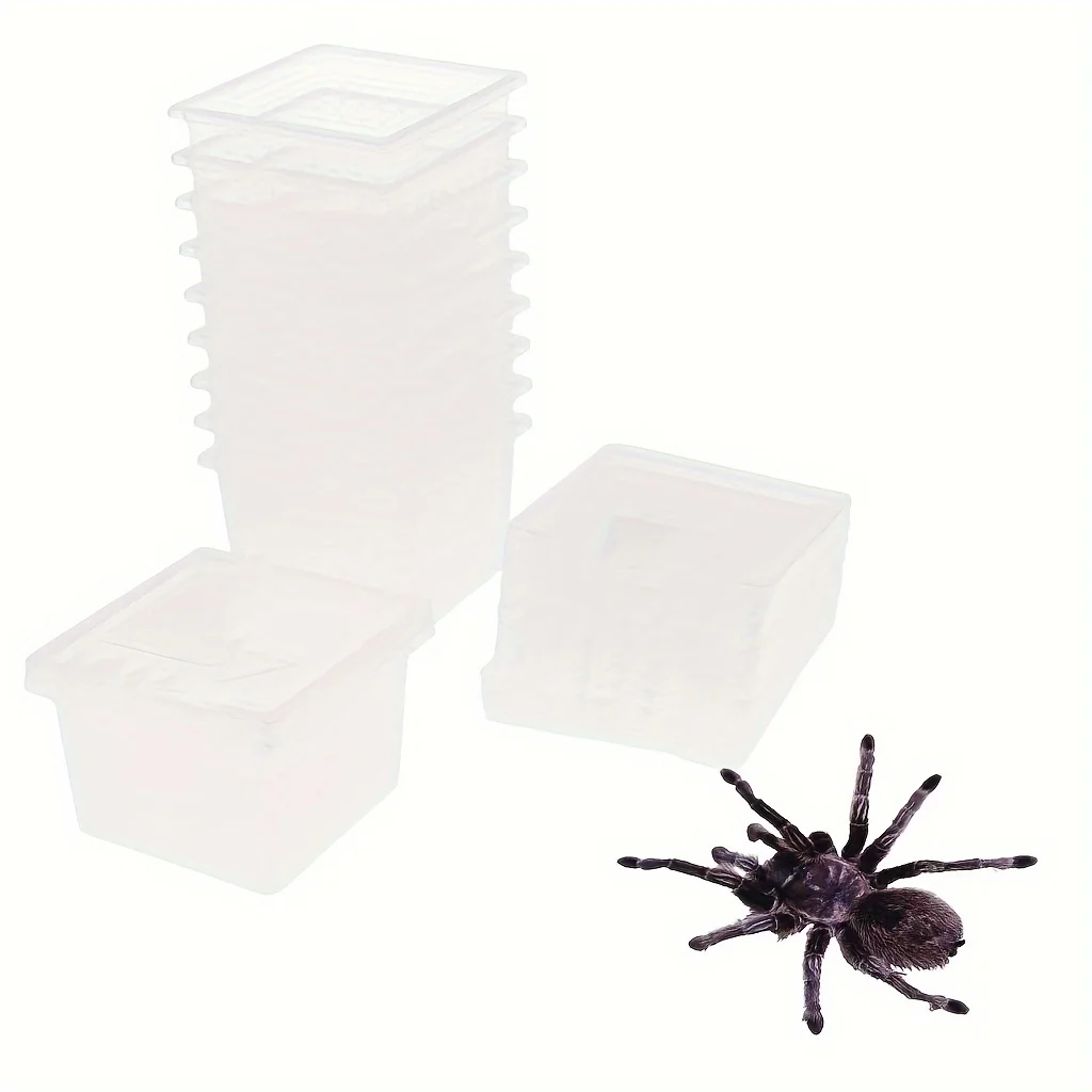Caja de alimentación de larvas de insectos, caja de alimentación de larvas de escorpión de araña - imagen 4