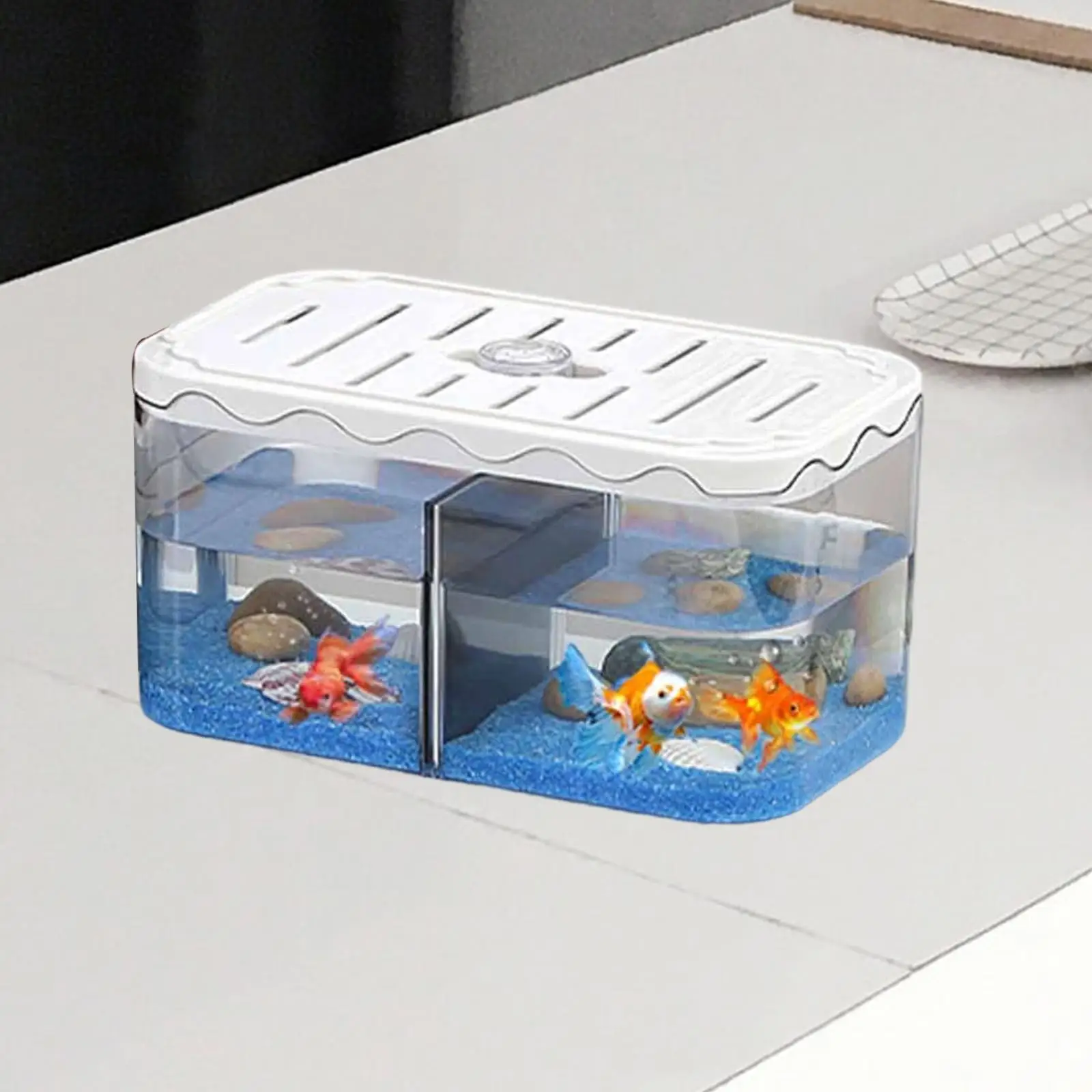 Pecera de mesa, caja de cría de acuario resistente para camarones, peces de bebé, Guppy - imagen 4