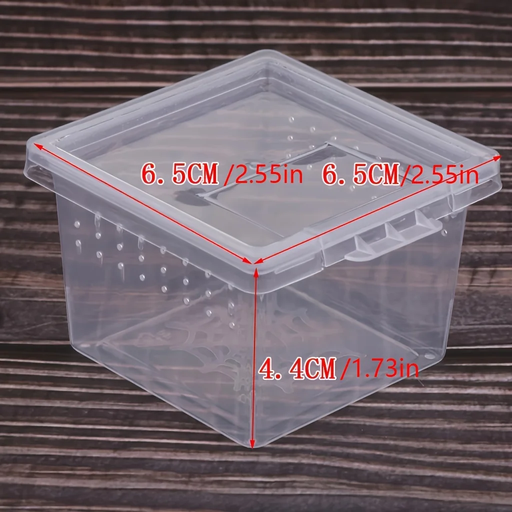 Caja de alimentación de larvas de insectos, caja de alimentación de larvas de escorpión de araña - imagen 2