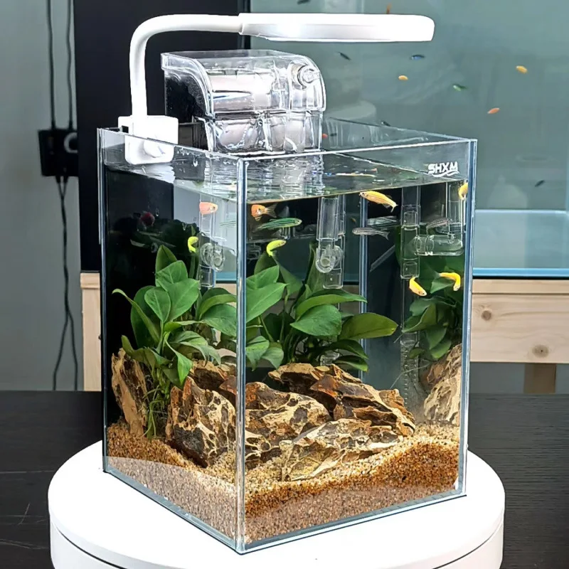 Paisajismo escritorio de cristal pecera escritorio Micro tanques ecológicos tanque Douyu peceras pequeñas sin agua vidrio ultrablanco - imagen 3