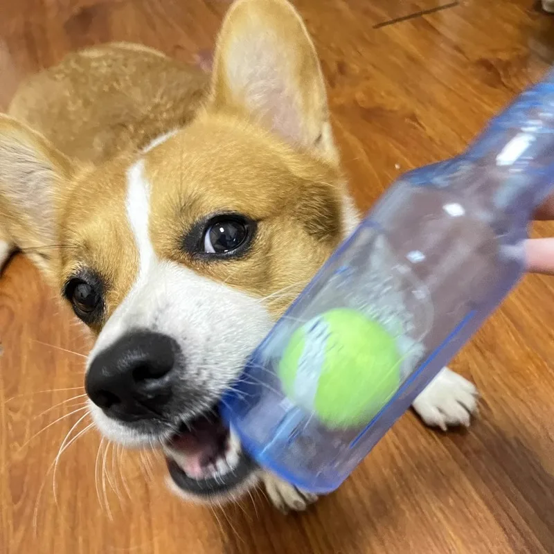 Juguete masticable perros botella cerveza con pelota tenis resistente - imagen 2