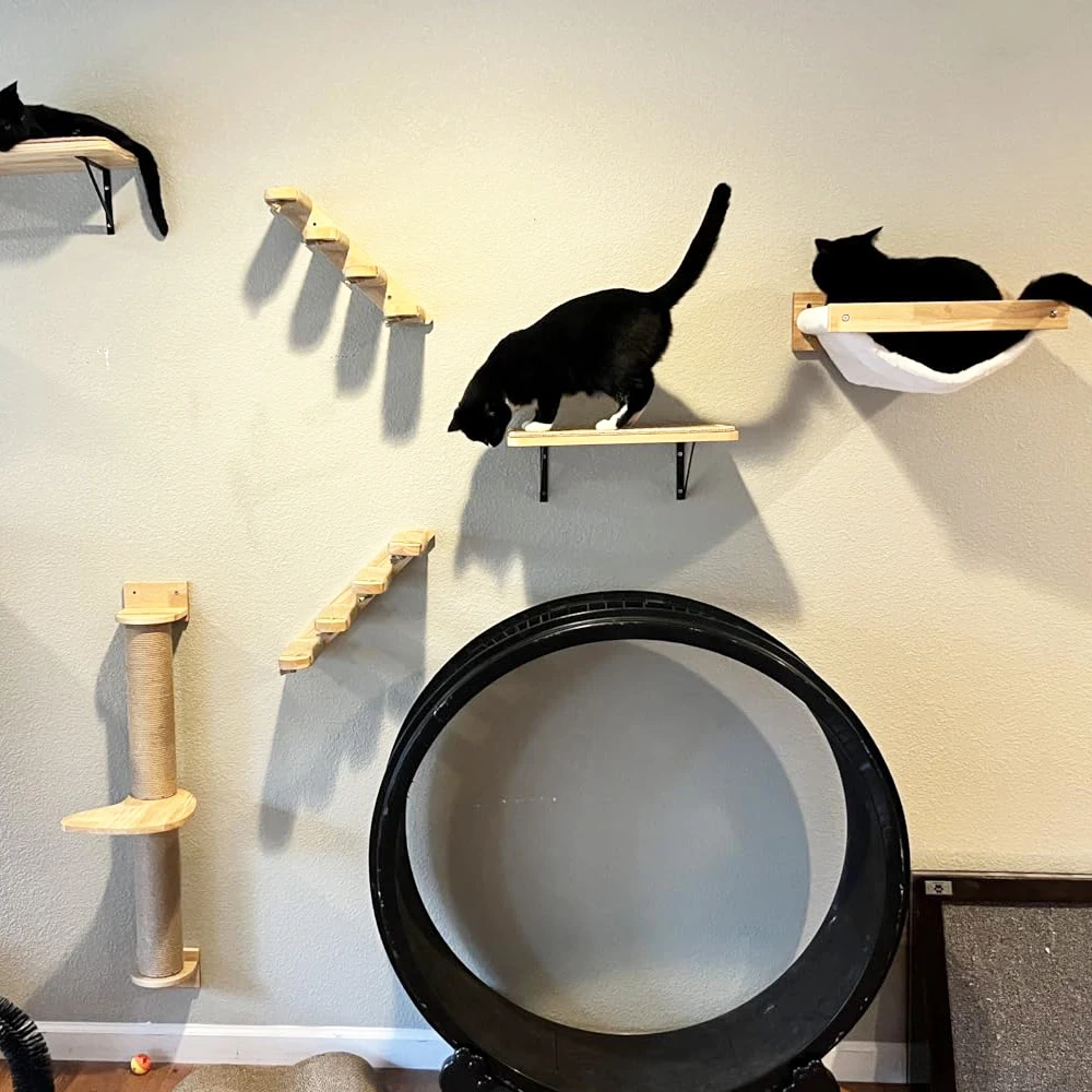 Conjunto de marco de escalada para gatos de pared, columna de molienda de garra de sisal, escalera de escalada, personalización del espacio de actividad vertical para gatos - imagen 2