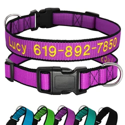 Collar bordado personalizado para perros - talla S, M y L ajustable